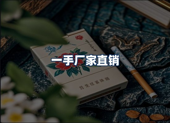 专业团队办公环境